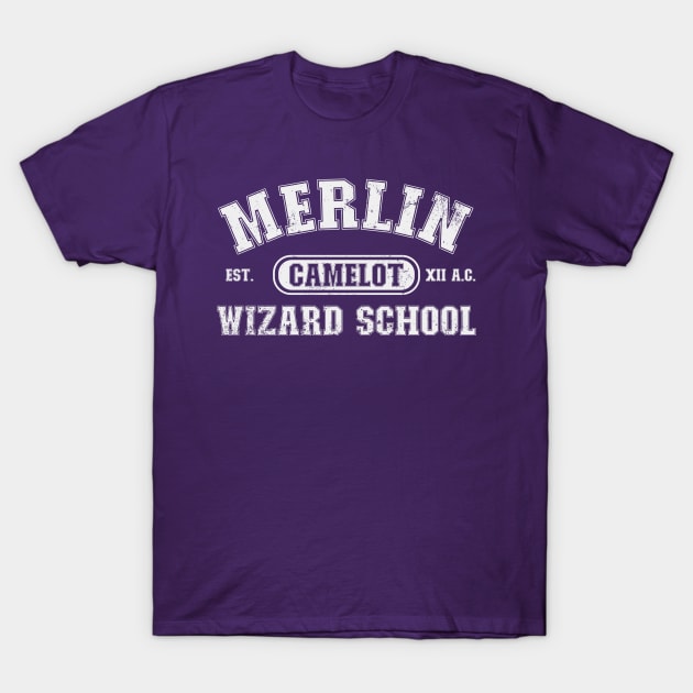 Merlin School T-Shirt by nickbeta